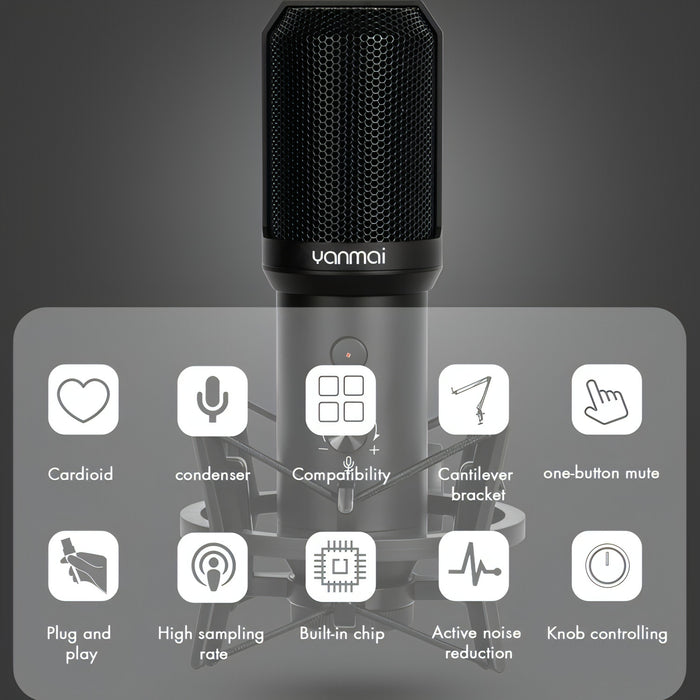 Yanmai Q10B USB Recording Microphone Kit SJMUSICGROUP