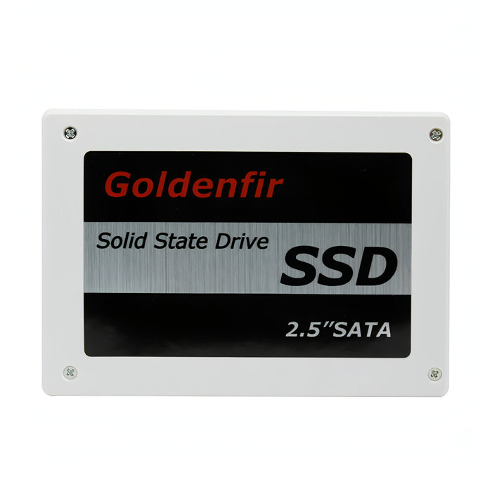 Goldenfir SSD 2.5 inch SATA Solid State Disk SJMUSICGROUP