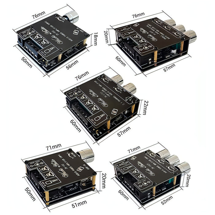 Mini Bluetooth 5.1 Receiving Audio Module With Power Amplifier Digital D Stereo Dual Channel SJMUSICGROUP